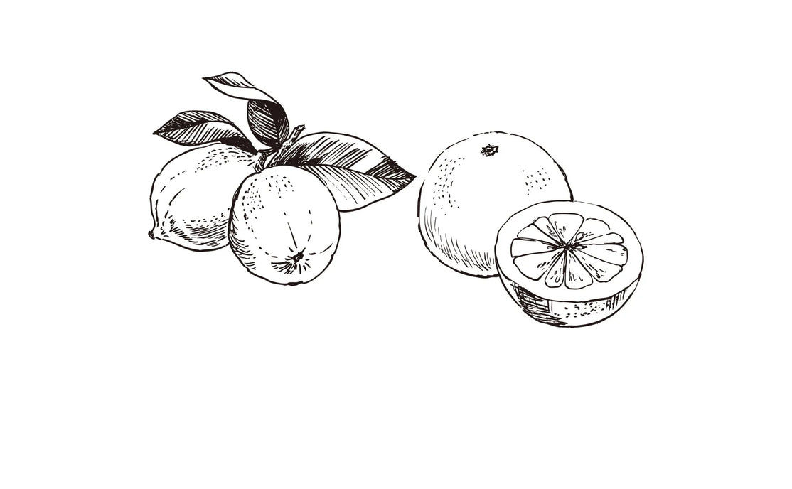 ベルガモットとグレープフルーツ